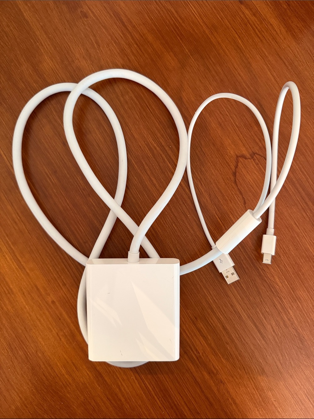 Apple Mini DisplayPort to Dual-Link DVI Adapter (Model A1306) usb charging
